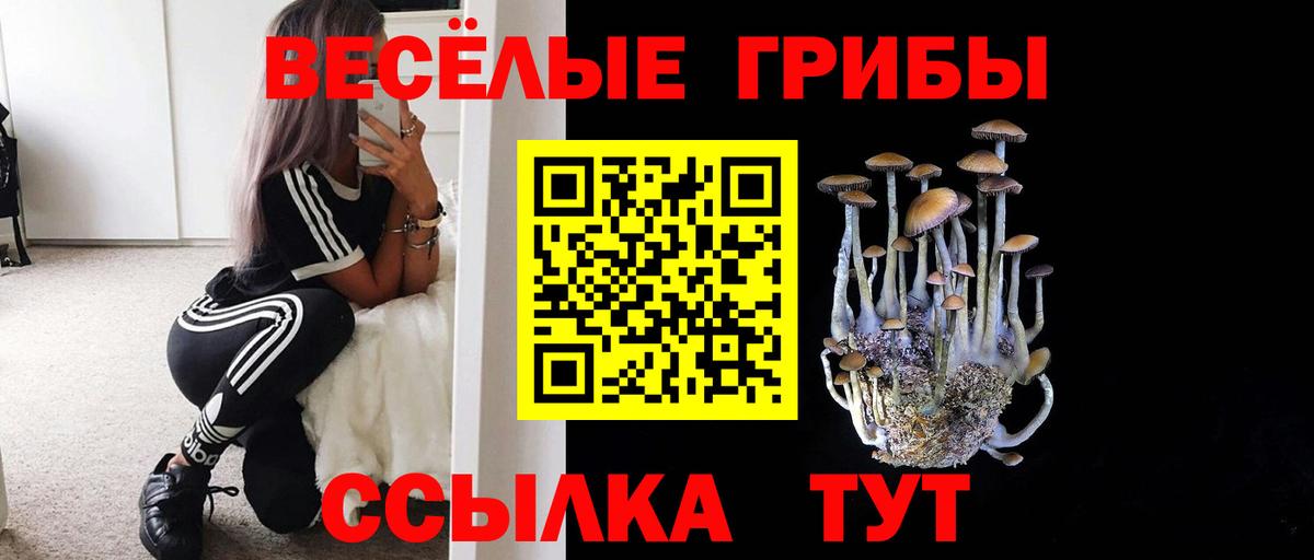 Томск  Псилоцибиновые грибы MAGIC MUSHROOMS  Вход с VPN 